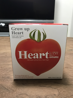 tomato_2