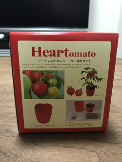 tomato_3